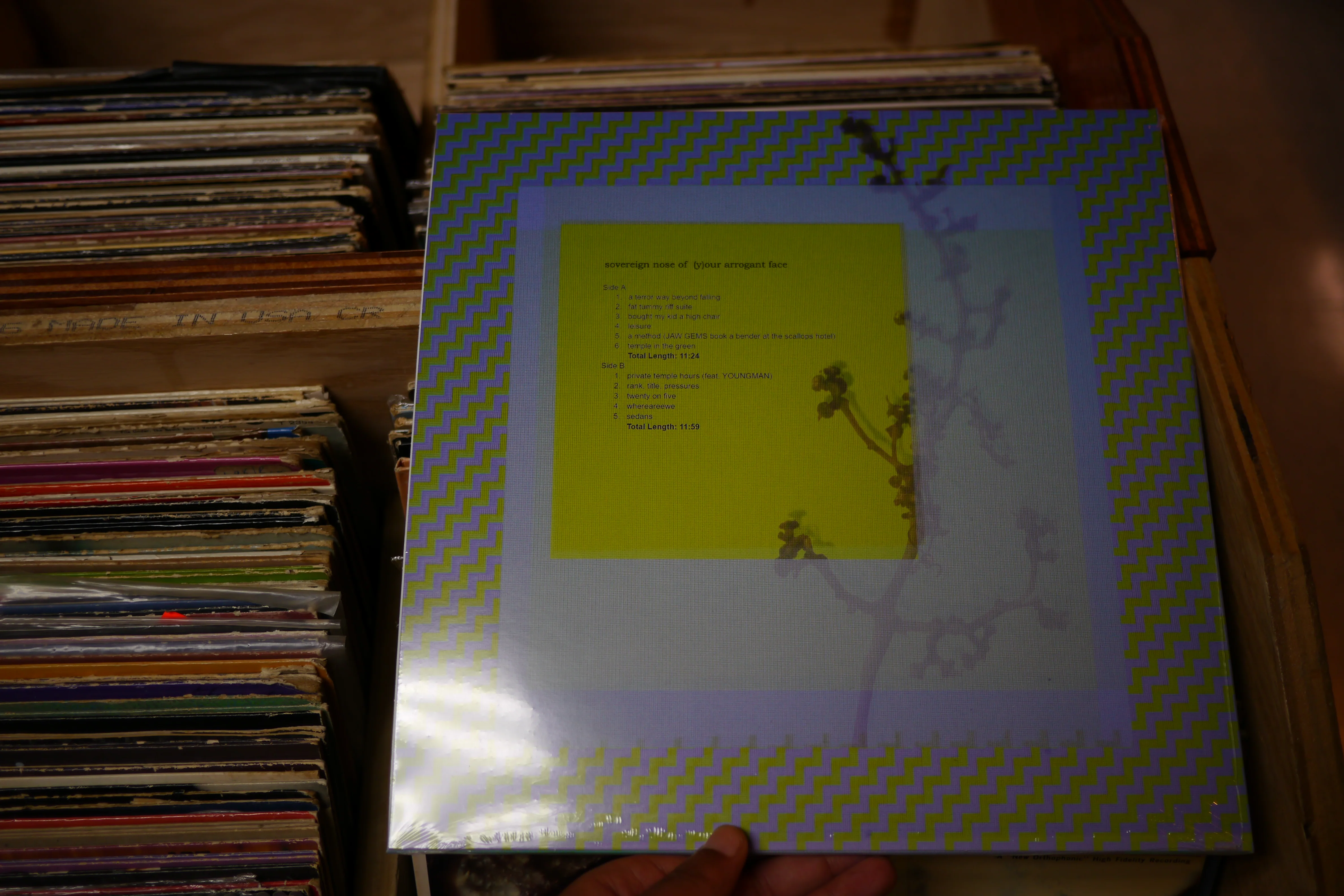 sovereign nose of (y)our arrogant face - scallops hotel - Image 2